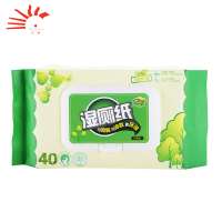 Flushable toilet seat disposable wet wipes